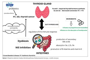Rycina z artykułu: Wpływ mikrobioty jelitowej...