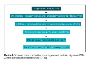 Rycina z artykułu: Wpływ elektronicznych...