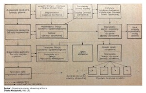 Figure from article: Organization of health...