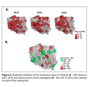Rycina z artykułu: Epidemiologia raka jąder w...