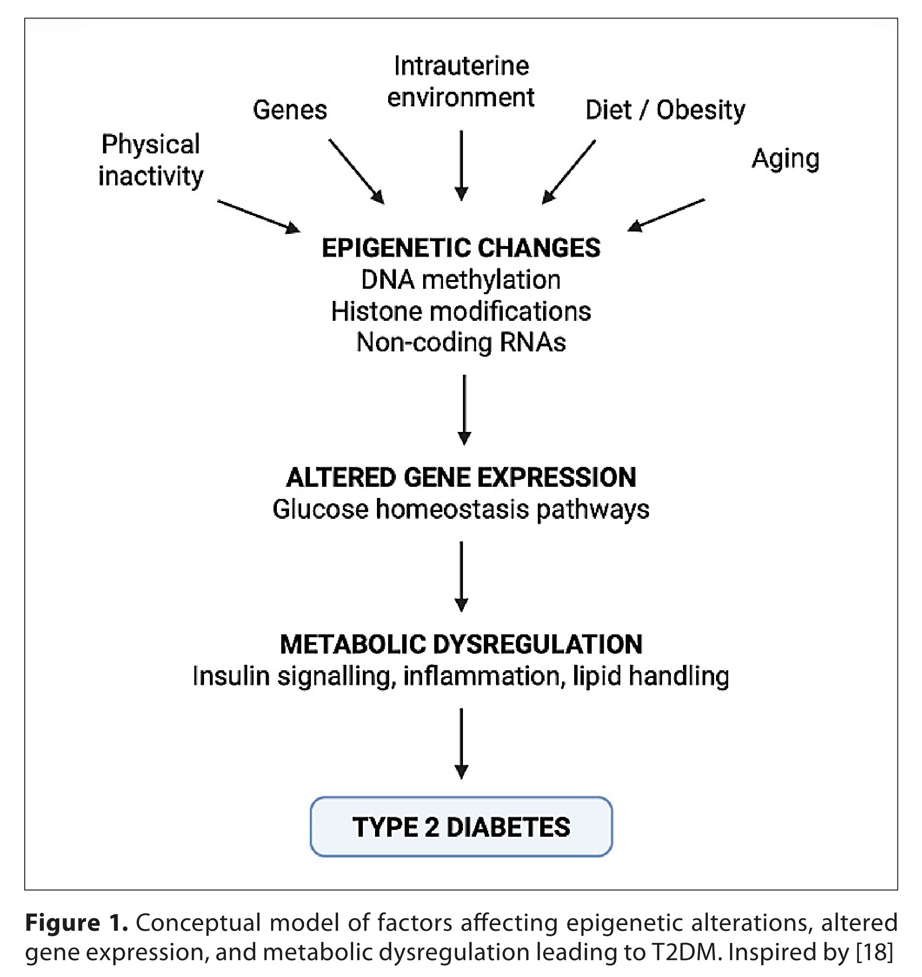 Figure from article: Nutrigenomics and...